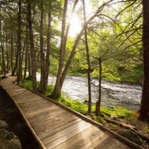 DanFroese-MercyRiver-1600 DanFroese-MercyRiver-1600