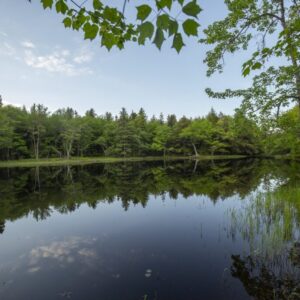 DanFroese-MercyRiver-1834 DanFroese-MercyRiver-1834